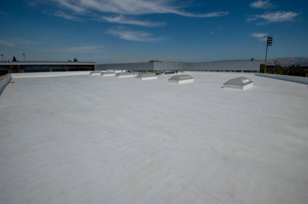 Best Cold Roofs  in Lincoln, ID