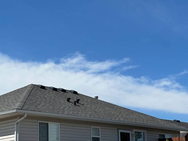 Best Roof Leak Repair  in Lincoln, ID